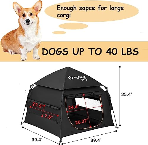 outside dog house